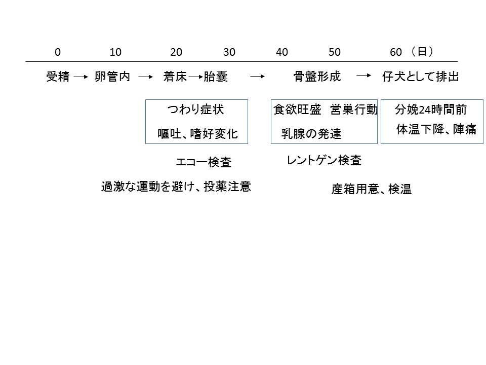 よくあるご質問 山田動物クリニック